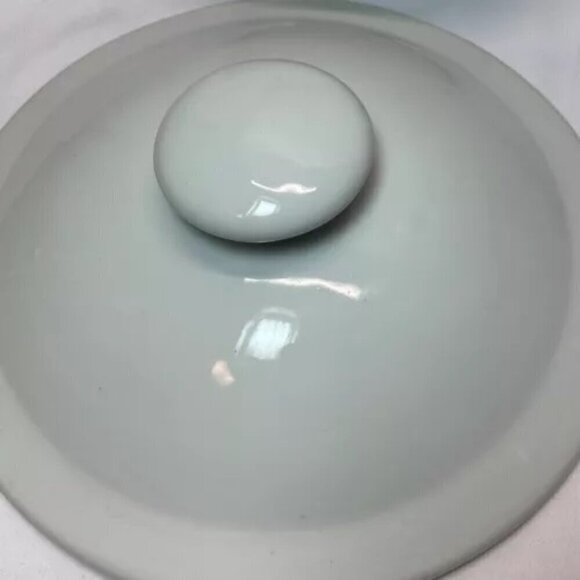 Stoneware Mixing Bowl 9” Casserole Dish Handle Lid Heirloom White New - Picture 6 of 13